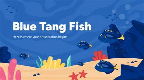 Blue Tang Fish Presentation .